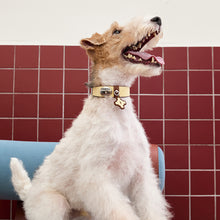 Dog wearing the Butter Yellow cowhide leather dog collar